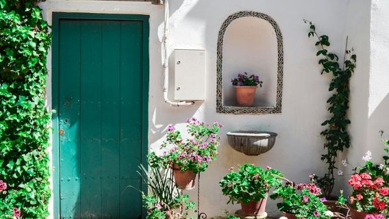 Viana Patios & Palace: Visita Guiada