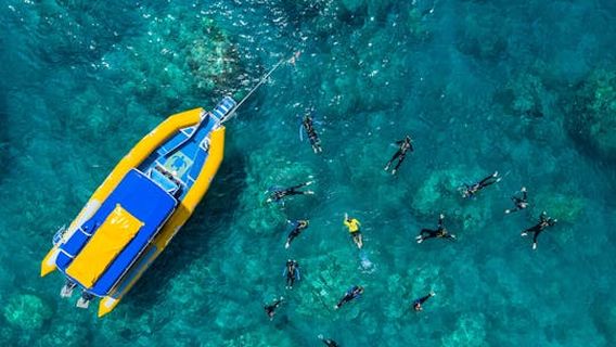 Airlie BeachExperiences