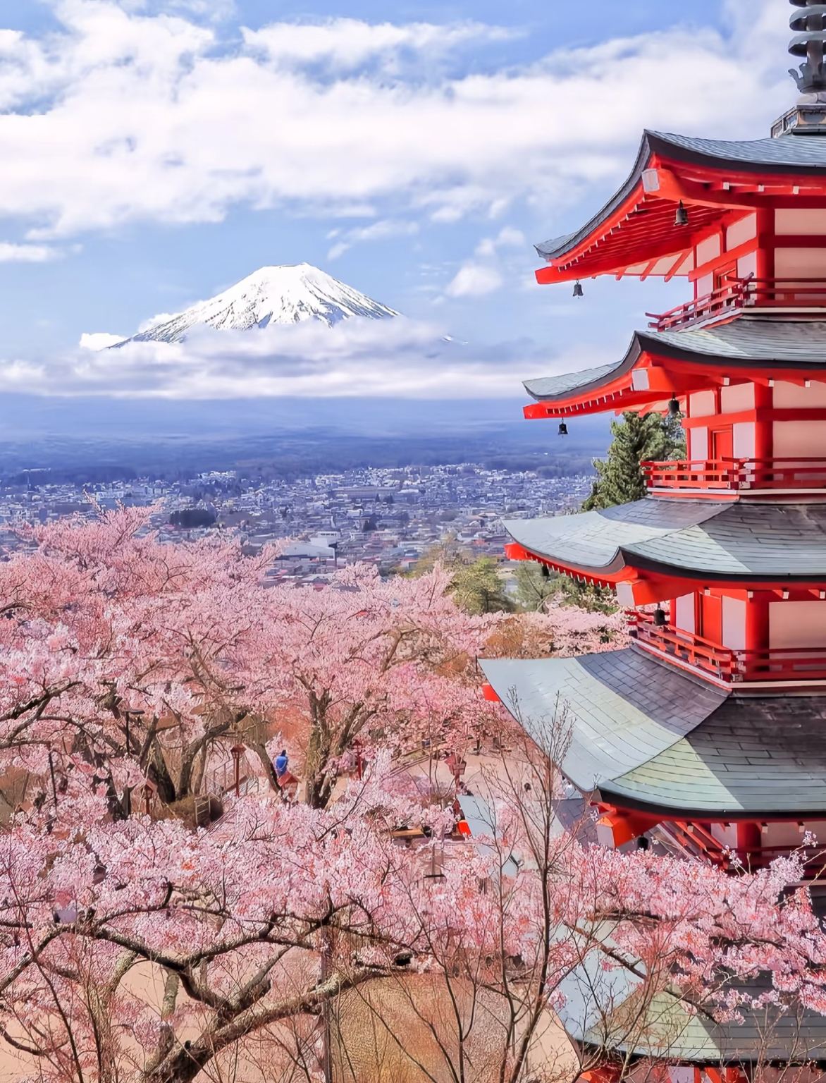 日本境內/專業中文導遊/地陪/翻譯/景區導覽