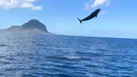 Mauritius