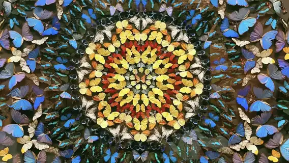 【拼團】上海自然博物館+探秘自然奧秘+資深導遊講解服務