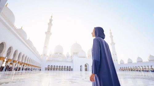 From Dubai Shared Tour: Ferrari World Adventure with Grand Mosque Tour Day Tours 6