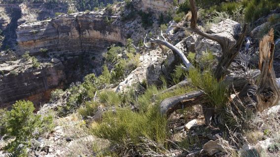 美國私享Vegas地標深度遊[大峽谷東緣南緣]-12H行程