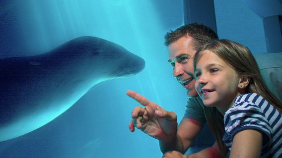 SEA LIFE Sunshine Coast: Entry Ticket