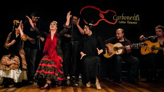 Madrid: Tapas Walking Tour + Flamenco Show