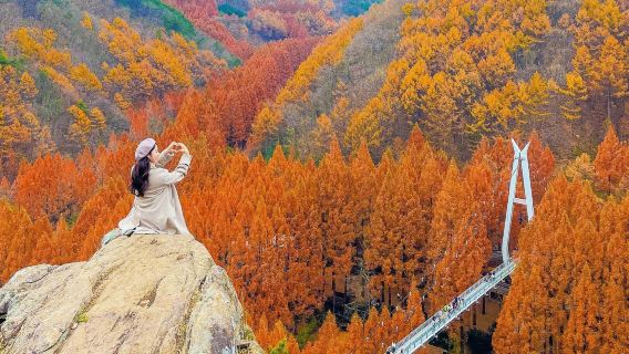 Partenza da Seoul: Villaggio tradizionale Hanok di Jeonju + Montagna Jangtae