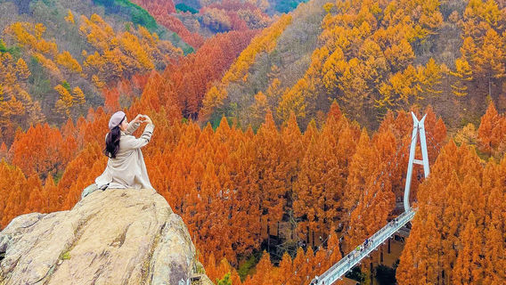ChungjuTours