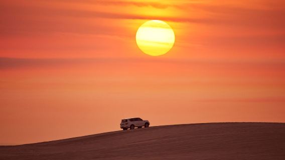 Tur Setengah Hari Gurun Doha Qatar dengan Penjemputan, Naik Unta, Sandboarding, dan Foto Elang
