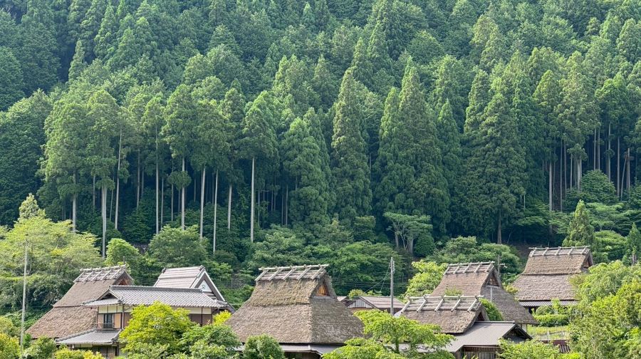 日本三大絕景「天橋立」＋伊根舟屋巡航＋美山合掌村｜大阪出發一日遊（門票全包）