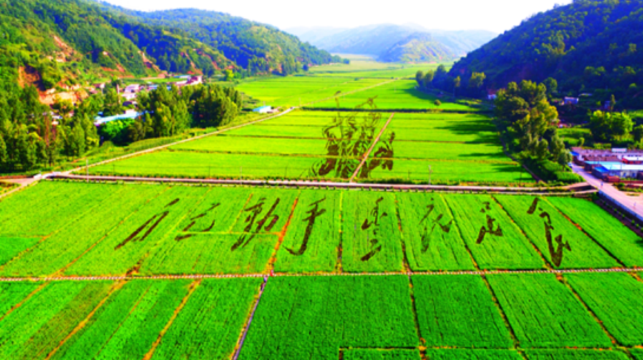 【2-8人精緻小拼團】邊區政府+西北局+南泥灣景區一日遊