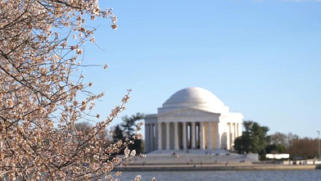 lawatan sehari sewaan peribadi ke Muzium Udara dan Angkasa Washington D.C., Georgetown, Memorial Jefferson dan Tidal Basin