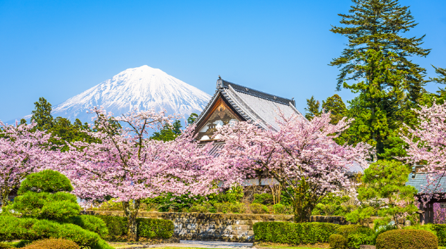 西湖合掌村+抹茶體驗+河口湖纜車+忍野八海一日遊小車包車