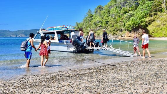 Bay of Islands: 4.5 Hour Day Cruise and Island Getaway Tour