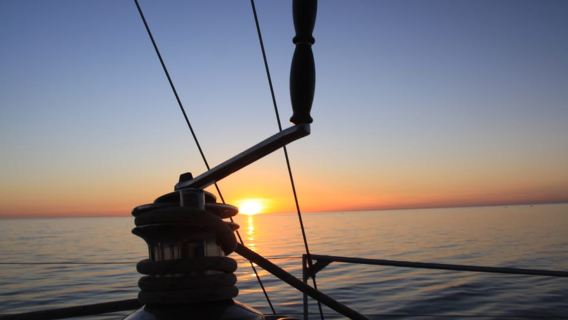 Adelaide: Glenelg Twilight Katamaran-Kreuzfahrt mit Getränk