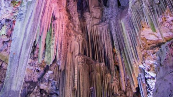 Gibraltar Shore Excursion: The Original Rock & Caves Tour