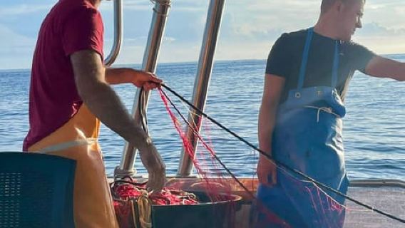 Elba fishing tourism: fishing demonstration with tasting of the catch