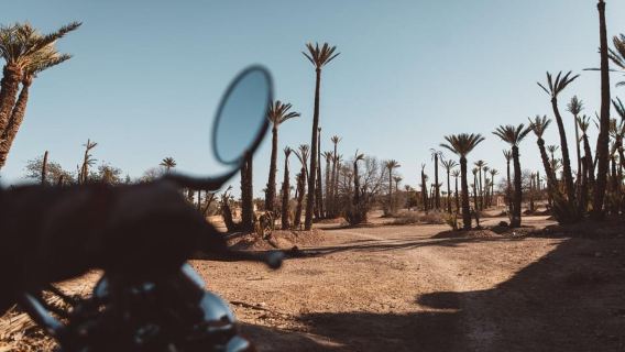 Joyas ocultas de Marrakech: Visita guiada en sidecar clásico de 1 h 30 min