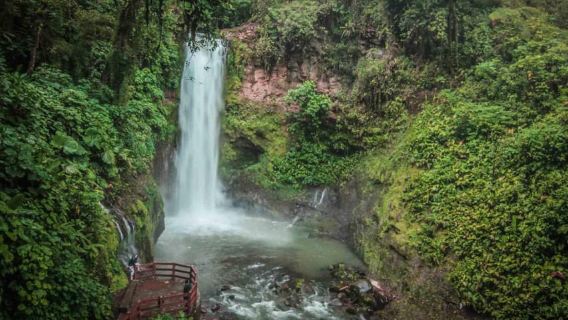 Сан-Хосе: тур по реке Сарапики и садам Ла-Пас с обедом