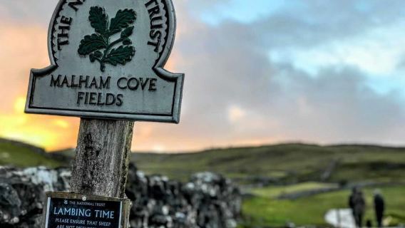 Dari Manchester: Wisata Sehari di Yorkshire