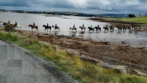 เวสต์พอร์ต: ขี่ม้าชมชายหาดและชนบทพร้อมไกด์