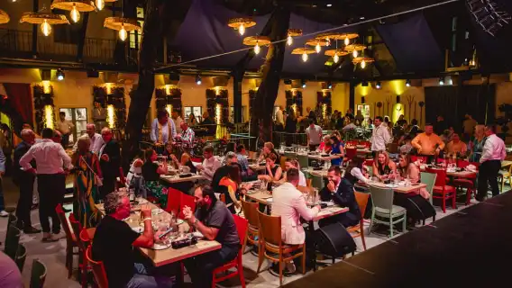 Budapest: Folk Dinner Show with Live Music & Unlimited Wine