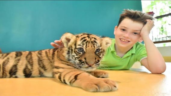 Phuket Tiger Park Tickets|interaktiv|Gruppenfoto