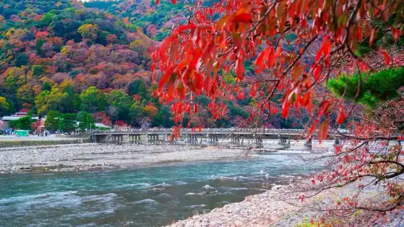 Kyoto/Osaka: Nara, Fushimi Inari Taisha, Arashiyama Bus Tour