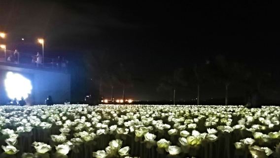 Cebu Panoramic Night Tour