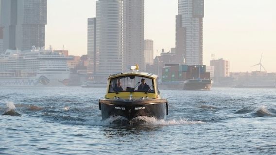 Private full-day tour of Rotterdam & Delft