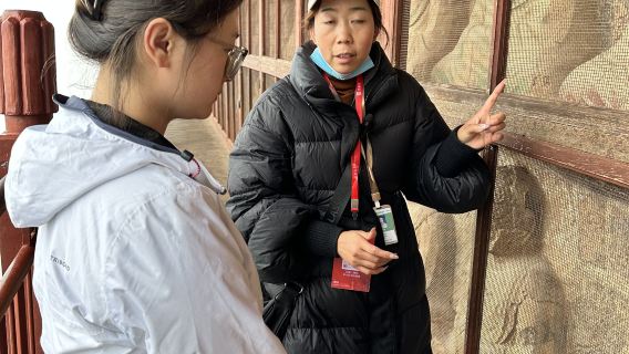 甘肅天水麥積山石窟人員導覽【大笙說簽約老師·2小時深度導覽·上/下午可選·可升私家團】