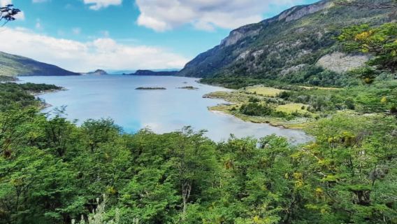 PUOLEN PÄIVÄN KIERROS TIERRA DEL FUEGON KANSALLISPUISTOON