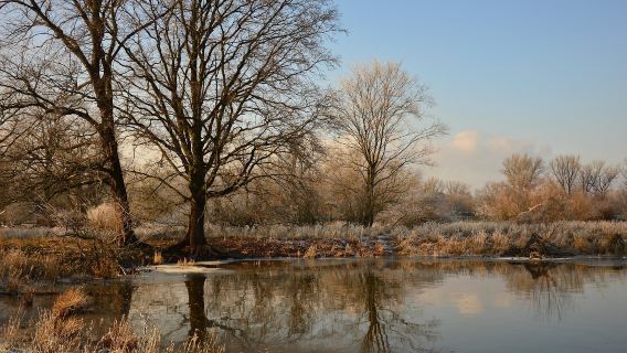 Norway Svolvær Round-Trip to Lofoten Island | Nordic Must-Visit Route [Private Charter/Group Tour Options]