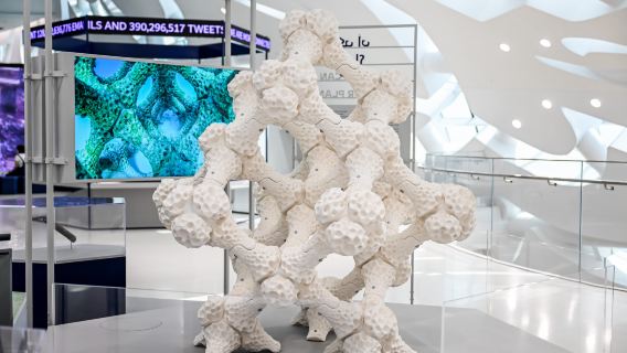 【ドバイ貸切チャーター日帰りツアー】未来博物館+ザ グリーン プラネット+ドバイ水族館&水中動物園