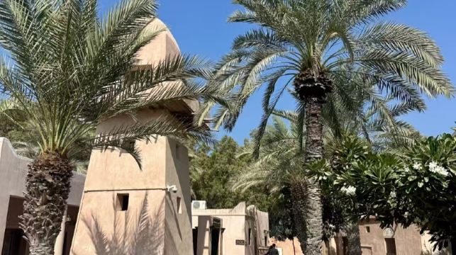 阿布扎比一日遊 清真寺+民俗村+阿布扎比市場 一鍵打卡景點