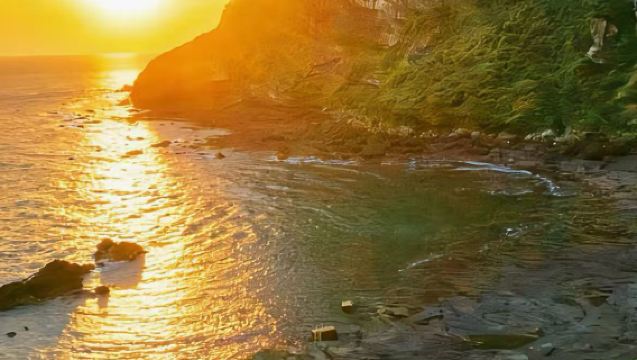 凱蒂貓+9.81公園+涯月海岸路+挾才海水浴場一日遊【包車】