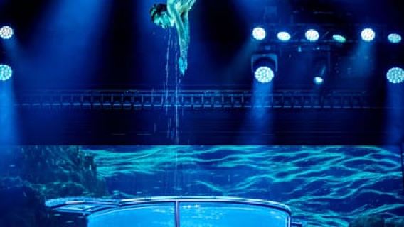 Benidorm: Show at Benidorm Palace