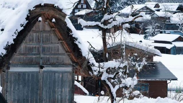 名古屋出發包車：白川鄉合掌村+飛驒高山一日遊