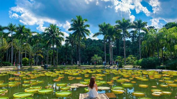 Lawatan Sehari Sewaan Peribadi Hiburan Tulen ke Taman Botani Akademi Sains China Xishuangbanna + Taman Etnik Dai Xishuangbanna
