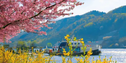 首爾出發|南怡島 + 瀑布咖啡 + 環山步道一日遊