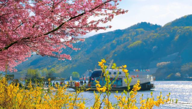 1-day tour from Seoul to Nami Island + Waterfall Cafe + Mountain Trail