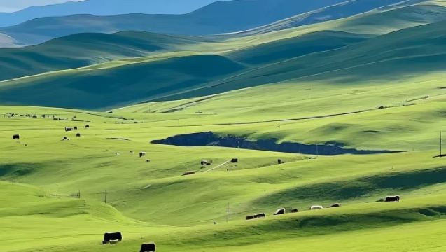 Lawatan Sehari di Padang Rumput Nalati Ili [Kumpulan Kecil + Pengangkutan dari Bandar + Termasuk Tiket Masuk]