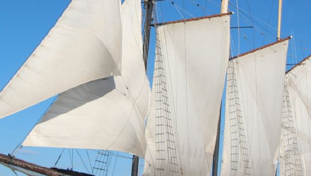 Toronto: Tall Ship Boat Cruise
