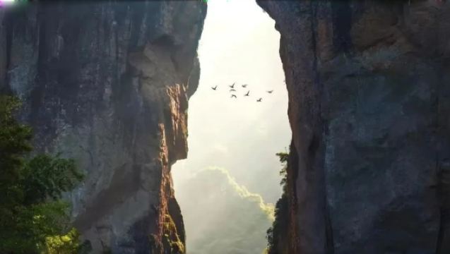 溫州雁蕩山【人員導覽服務 可選場次 時長】