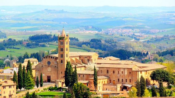 義大利托斯卡納 奧爾恰穀+錫耶納+皮恩扎一日遊丨精品中文小團