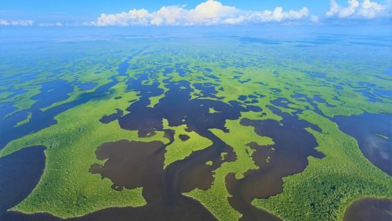 Lawatan Sewa Peribadi Miami, Amerika Syarikat | Taman Negara Everglades | Pemandu Berbahasa Cina & Jemputan di Tempat ※
