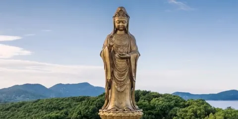 普陀山風景區一日遊【精緻團·祈願還願專線】專線導遊帶隊精講