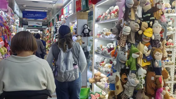 Yiwu business inspection in English, Thai, French, Russian, Spanish, French, German, and Japanese | International Trade City procurement + exotic night market