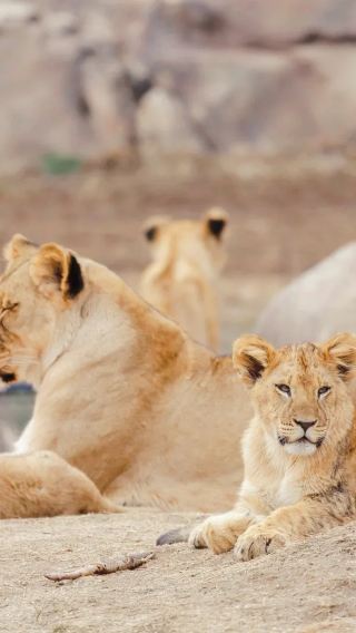 Custom trip in Denver, U.S. | Downtown Aquarium + zoo + botanic gardens※family-friendly