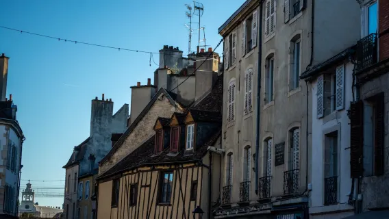 Dijon Audio Tour: Siti Patrimoniali