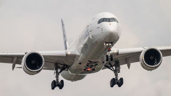 Guangzhou Arrival Assistance with English-Speaking Assistant & Private Chauffeur